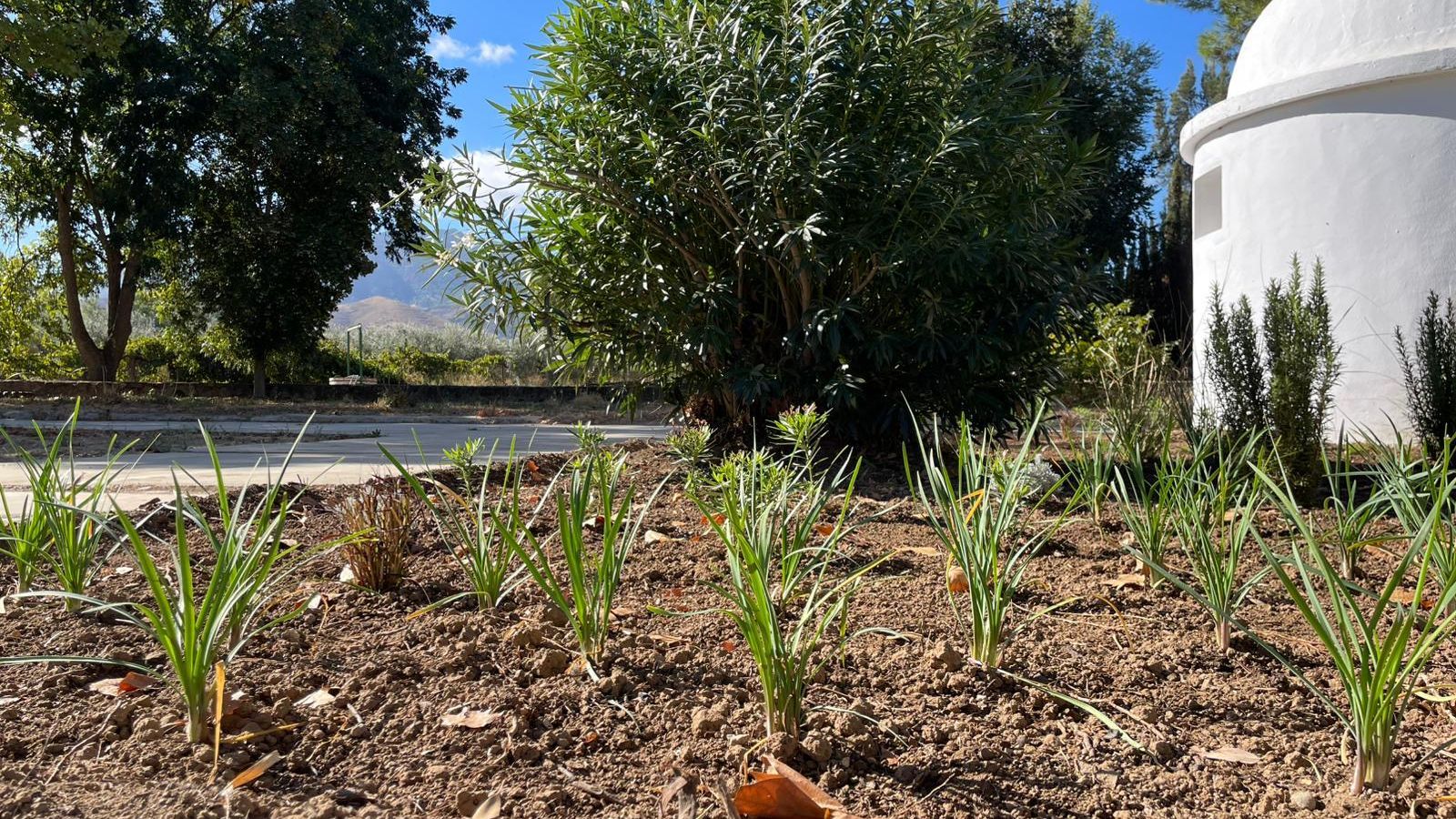 Centro de investigación 'Málaga Viva Lab'