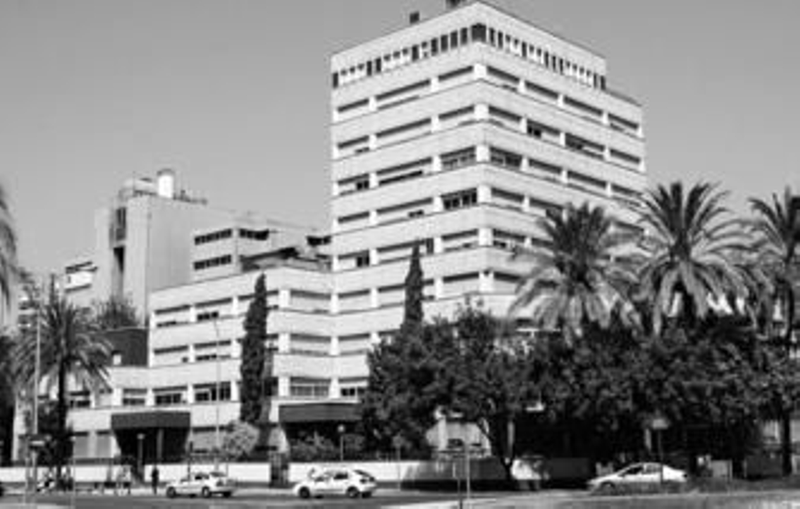 La droga sustraída en la Jefatura cuesta cinco millones en el mercado negro