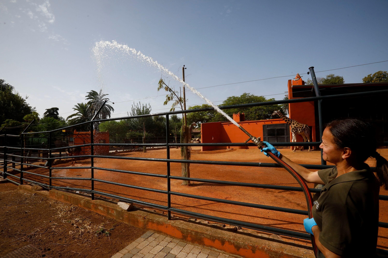 Fotogalería: Así viven los animales del Zoo de Córdoba los meses de verano