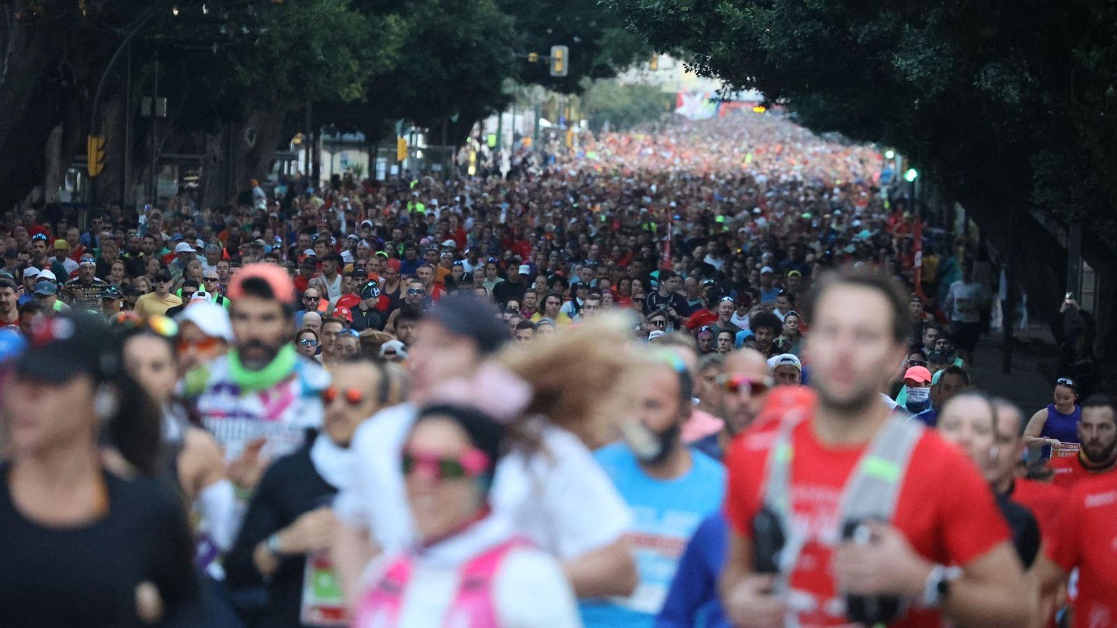 Las mejores fotos de la Maratón de Málaga 2024