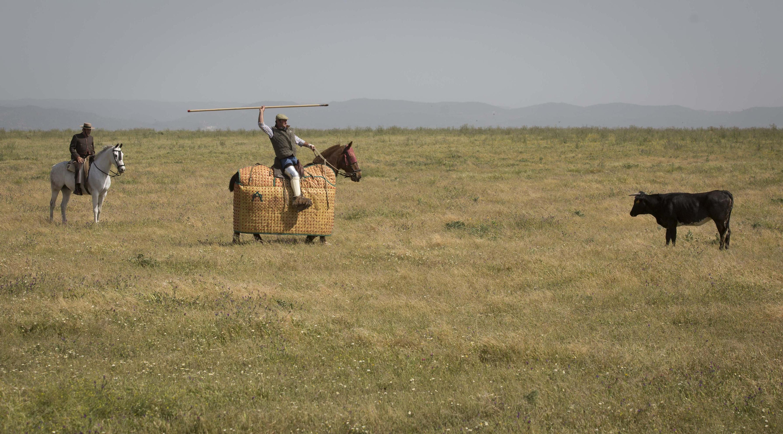 La celebración del 175 aniversario de la ganadería Miura, en imágenes