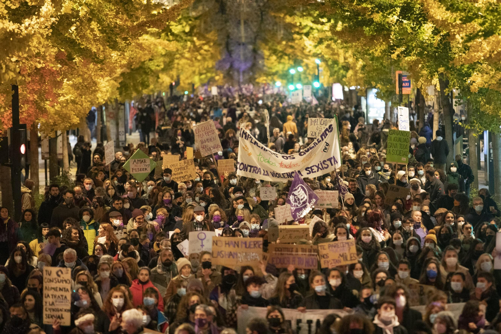 La manifestación del 25-N en Granada en imágenes