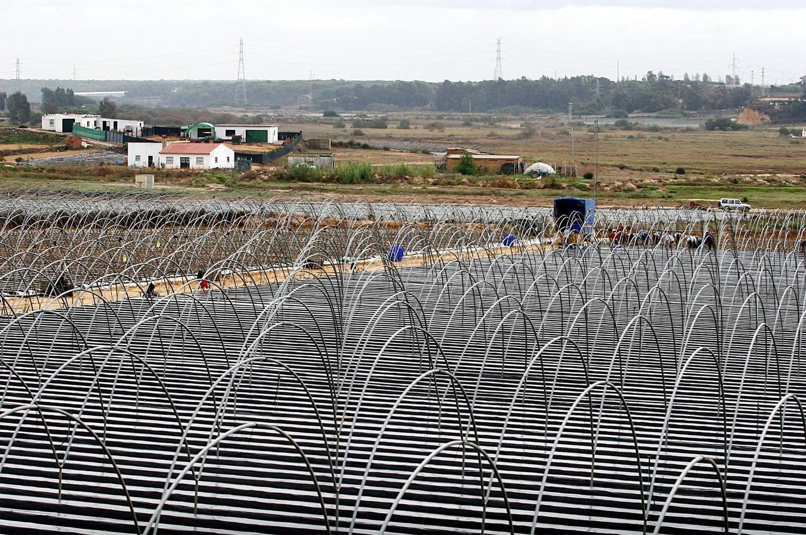 Regadíos de la provincia de Huelva.