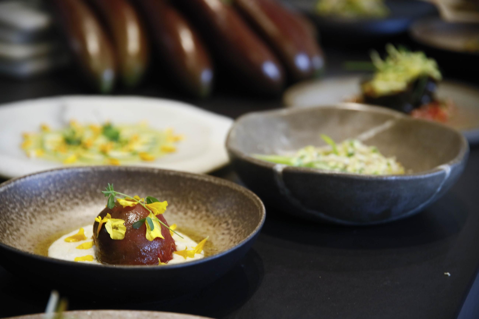 Las imágenes de una nueva variedad de berenjena en Almería