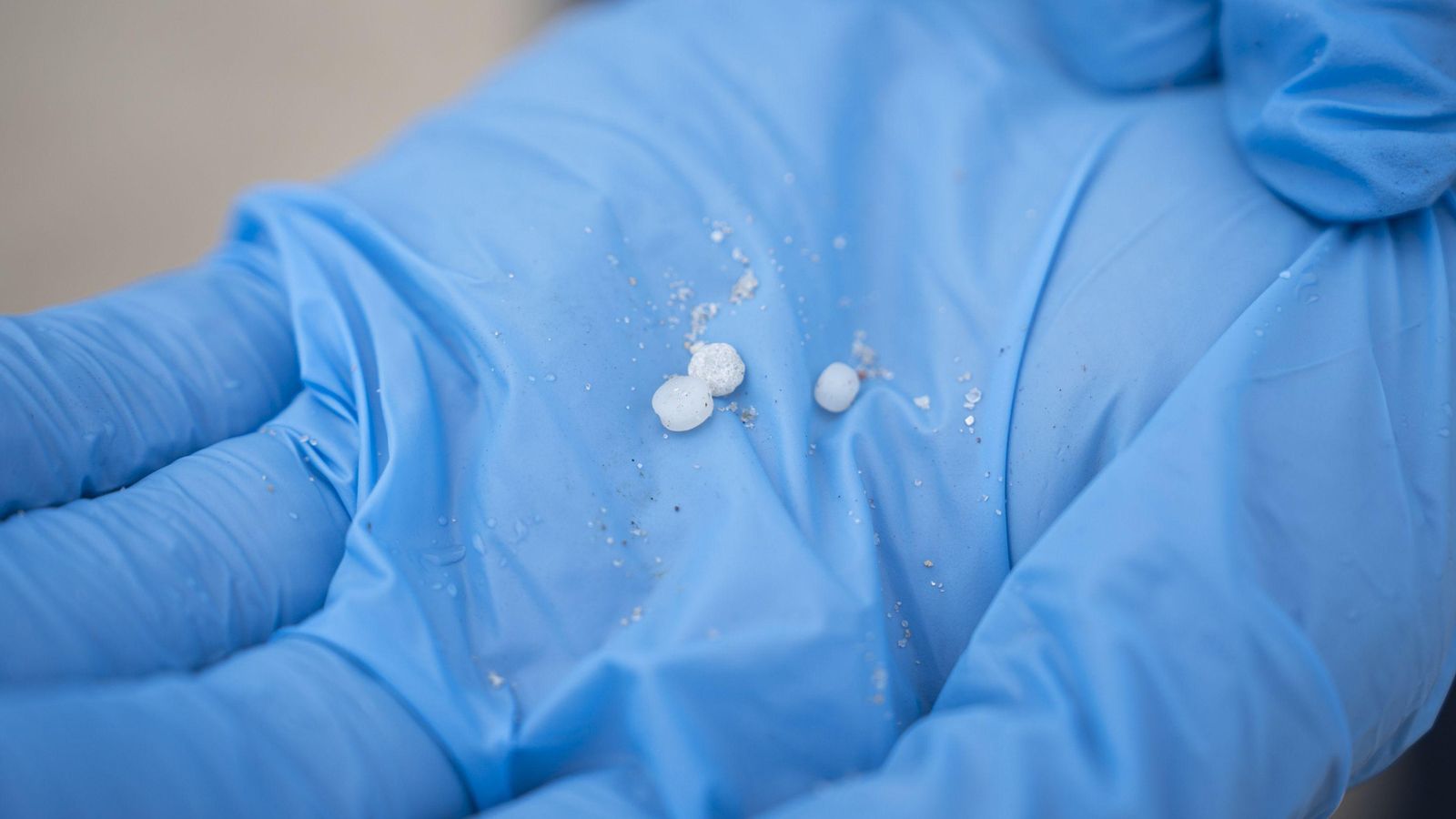 Detalle de pellets aparecidos en Galicia.