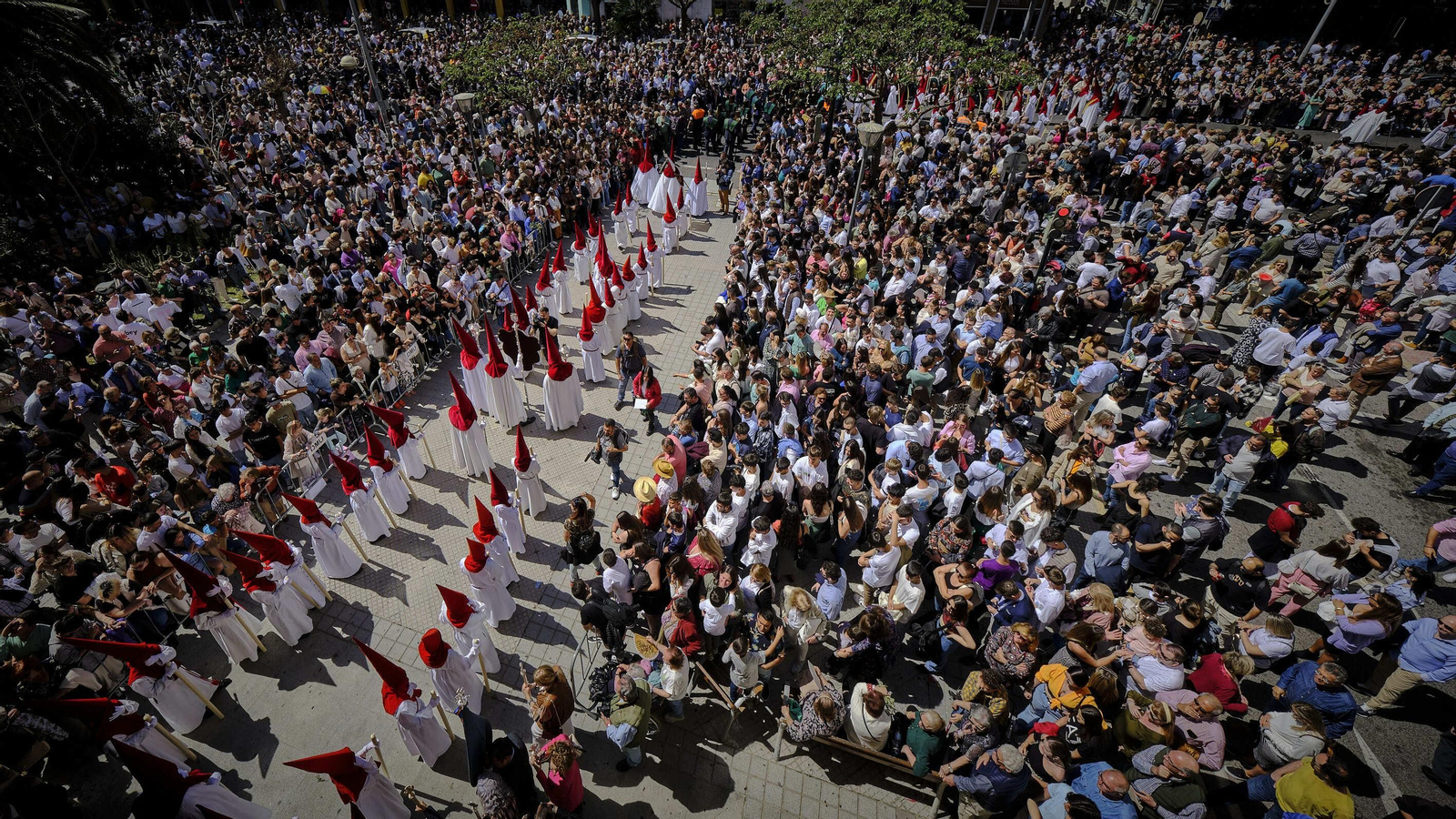 La Borriquita de Cádiz