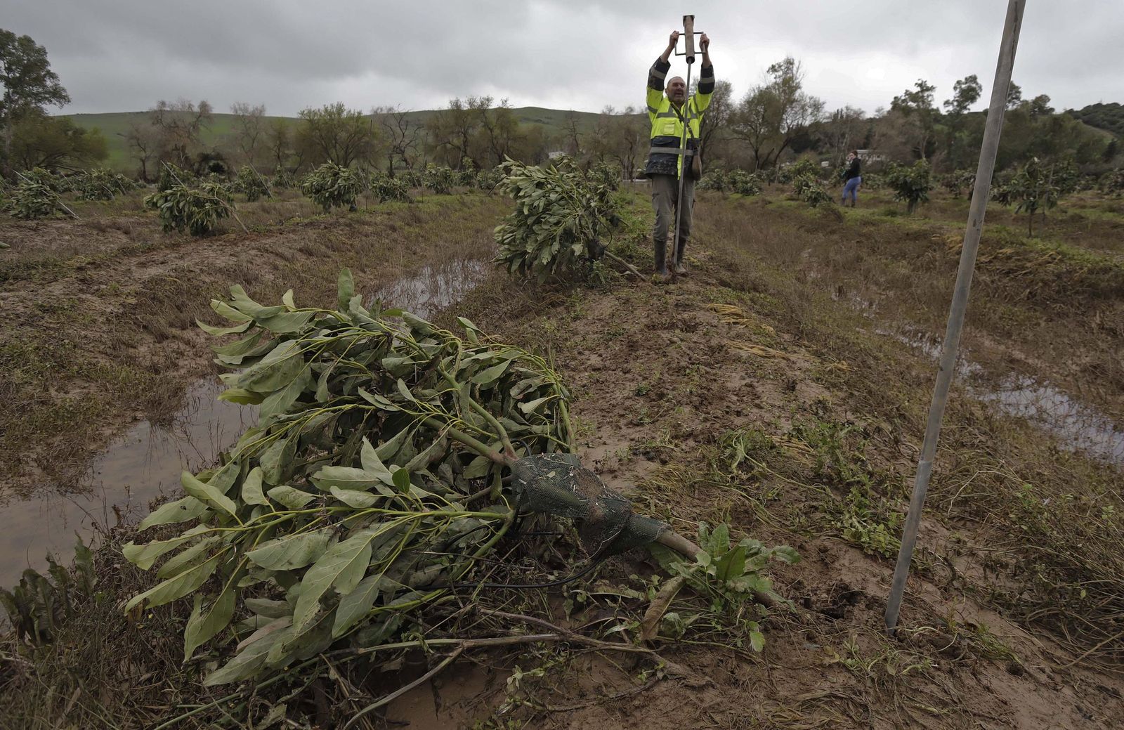 Fotos de los desperfectos provocados por las borrascas en Jimena de la Frontera