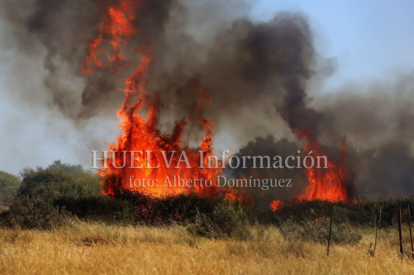 Imágenes del incendio en Doñana