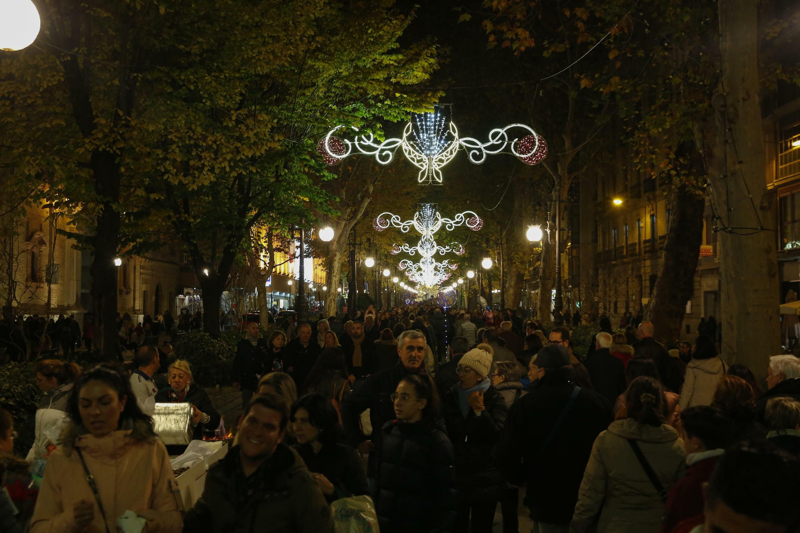 Granada se llena de luces y color con el encendido de la Navidad 2019, en imágenes