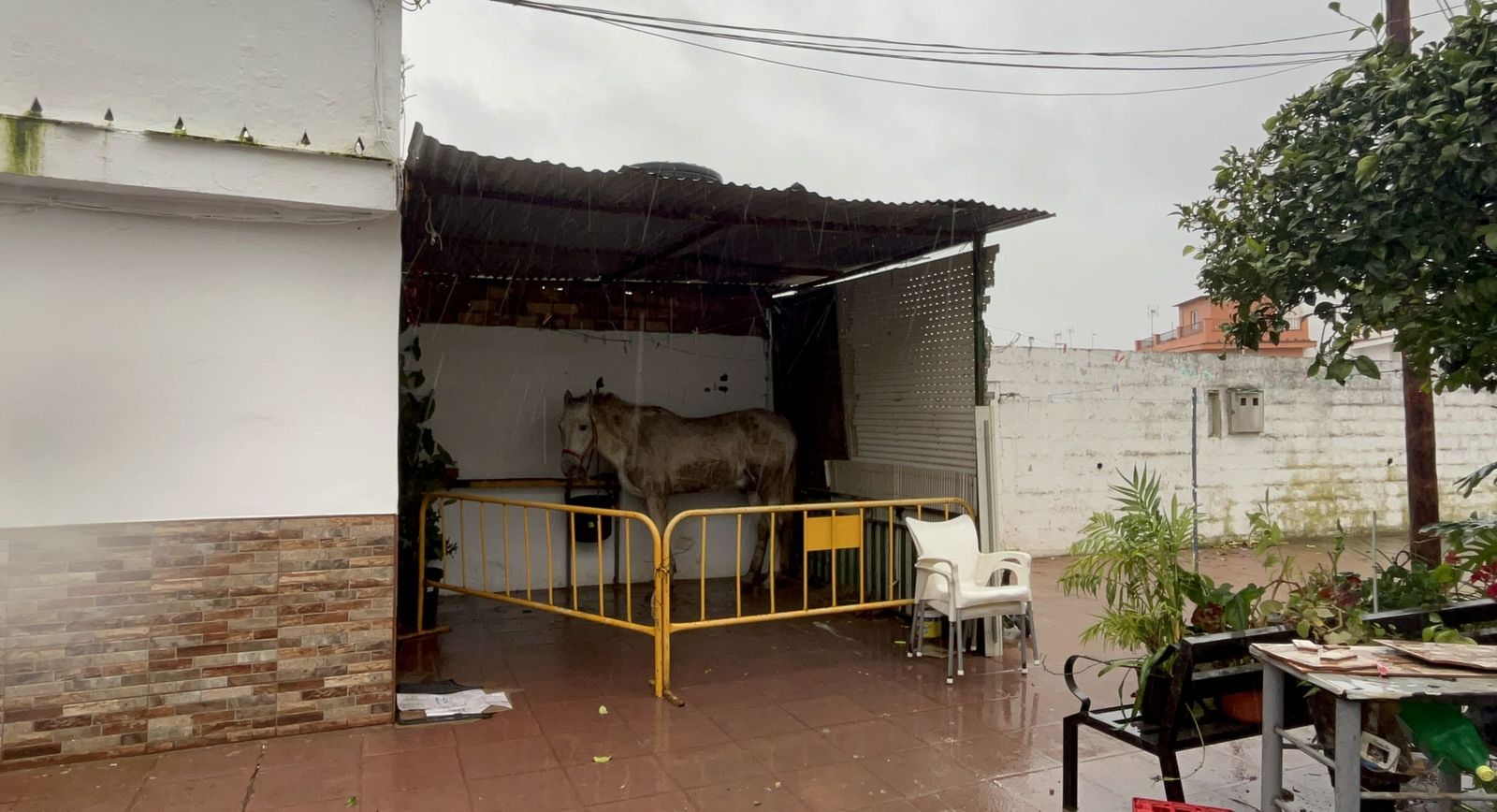 Las fotos del desalojo de la residencia de mayores en Tocina por las inundaciones