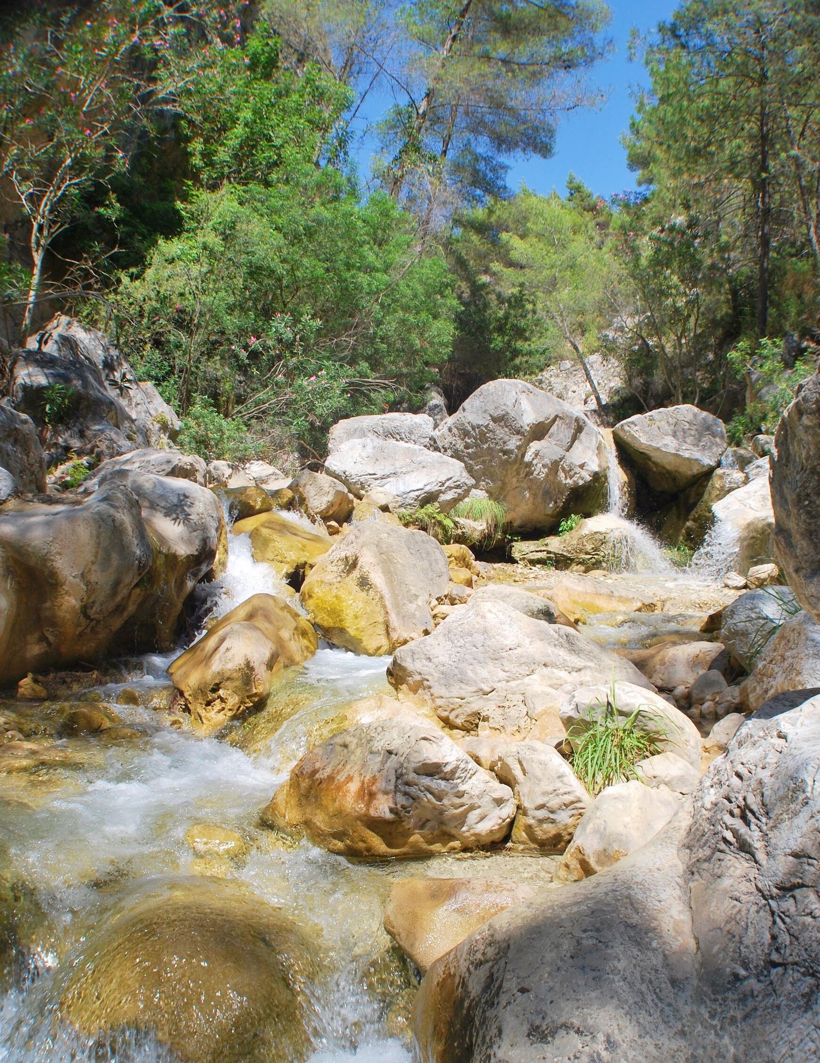 Los Cahorros en el cauce del río Chíllar.