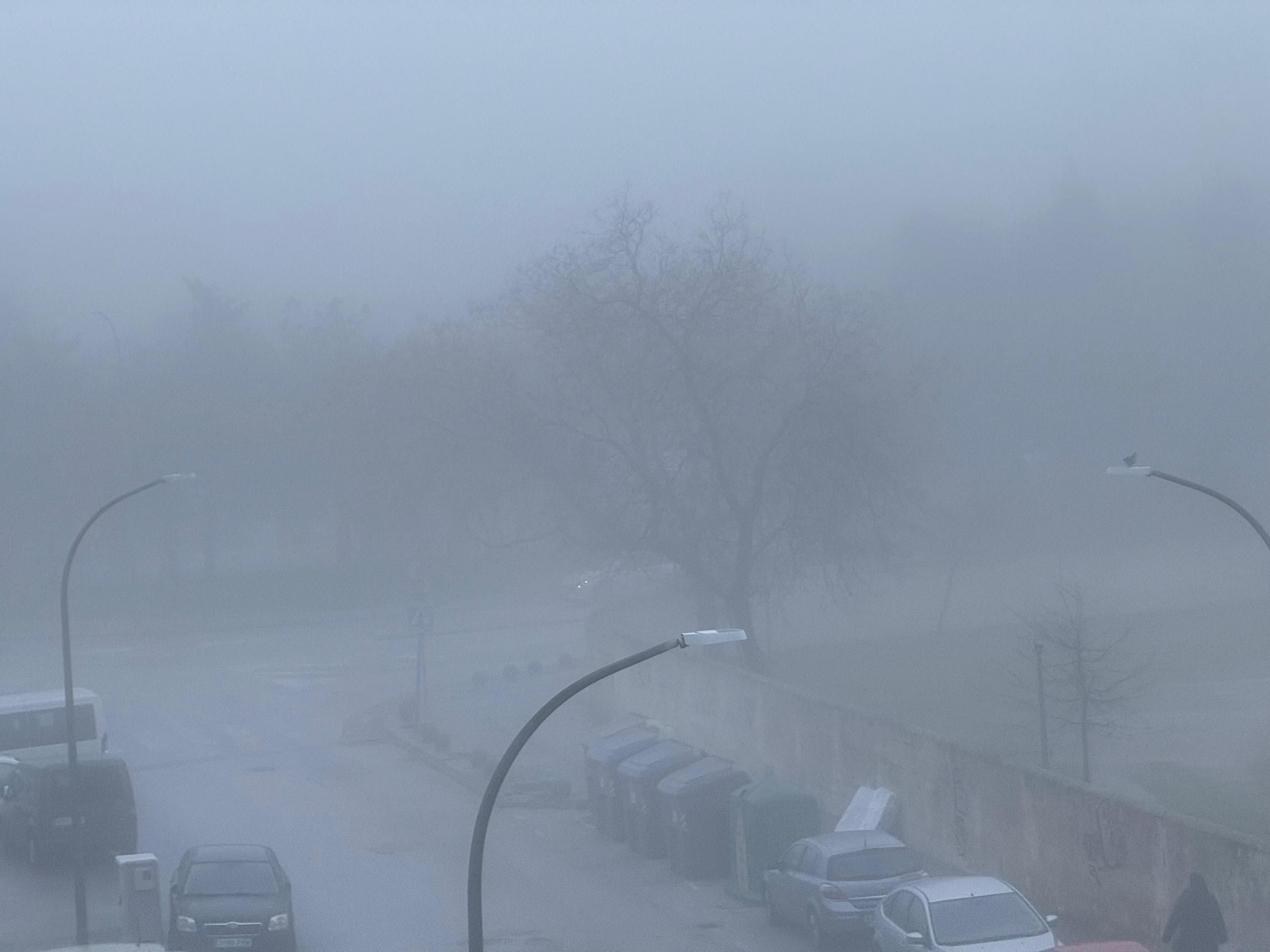 Mañana de niebla en Jerez.