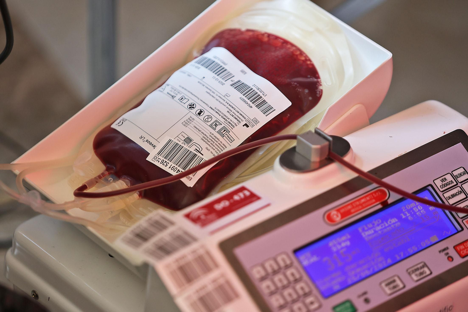 Imágenes de la macrocolecta de sangre en la Casa Colón de Huelva