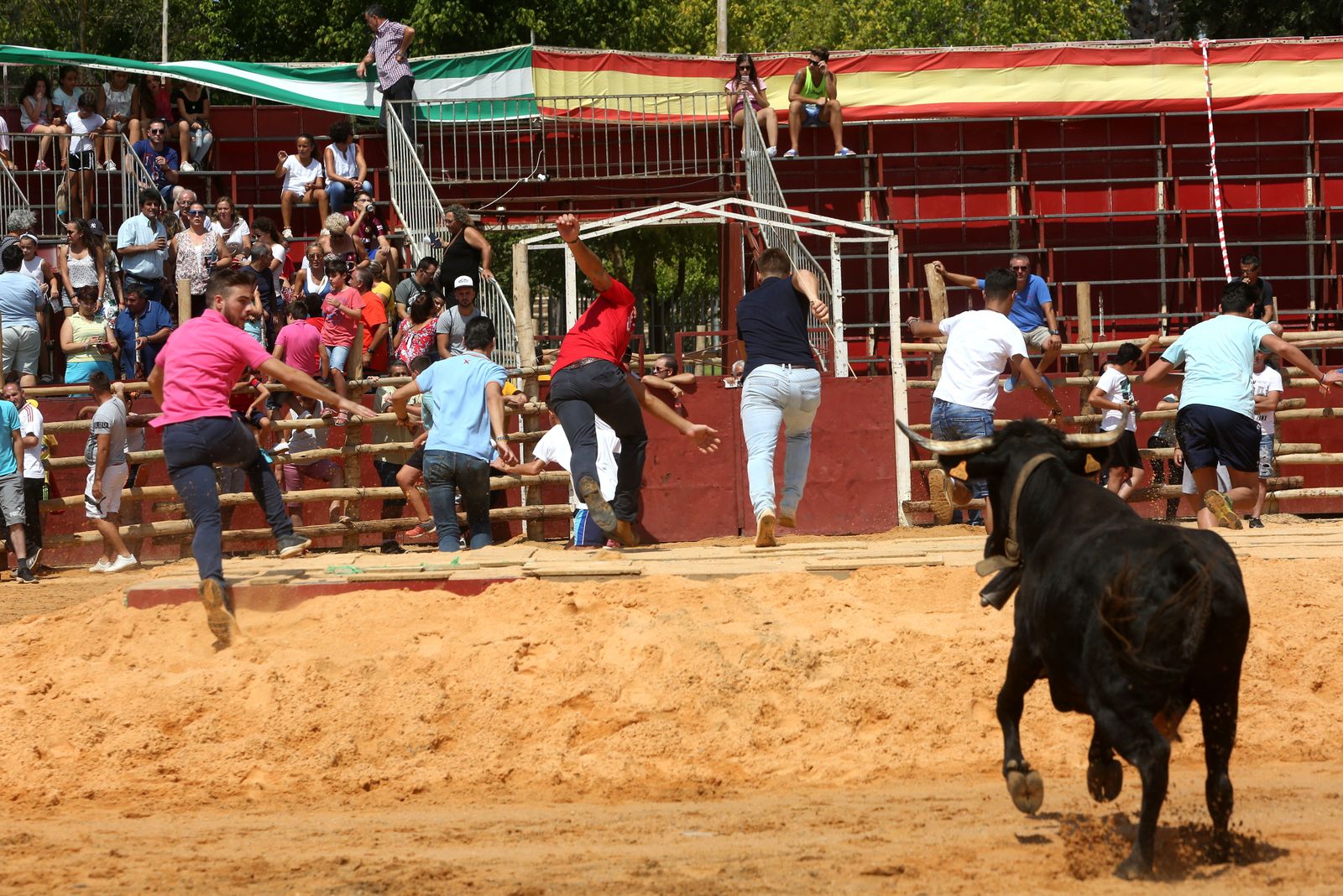 Capeas de Trigueros en imágenes