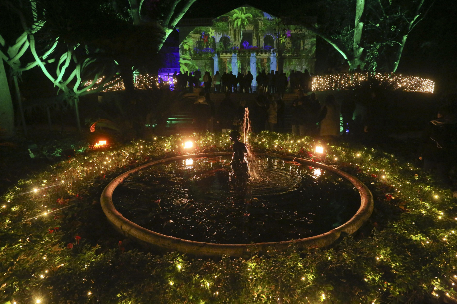Las luces del Jardín Botánico de Málaga esta Navidad, en fotos
