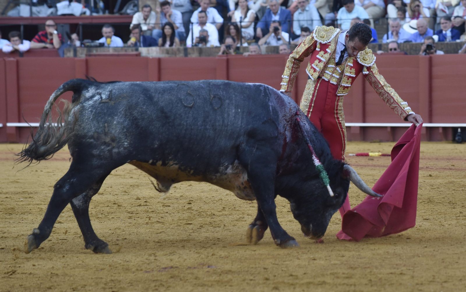 La 14ª de abono en la Real Maestranza de Sevilla, en imágenes