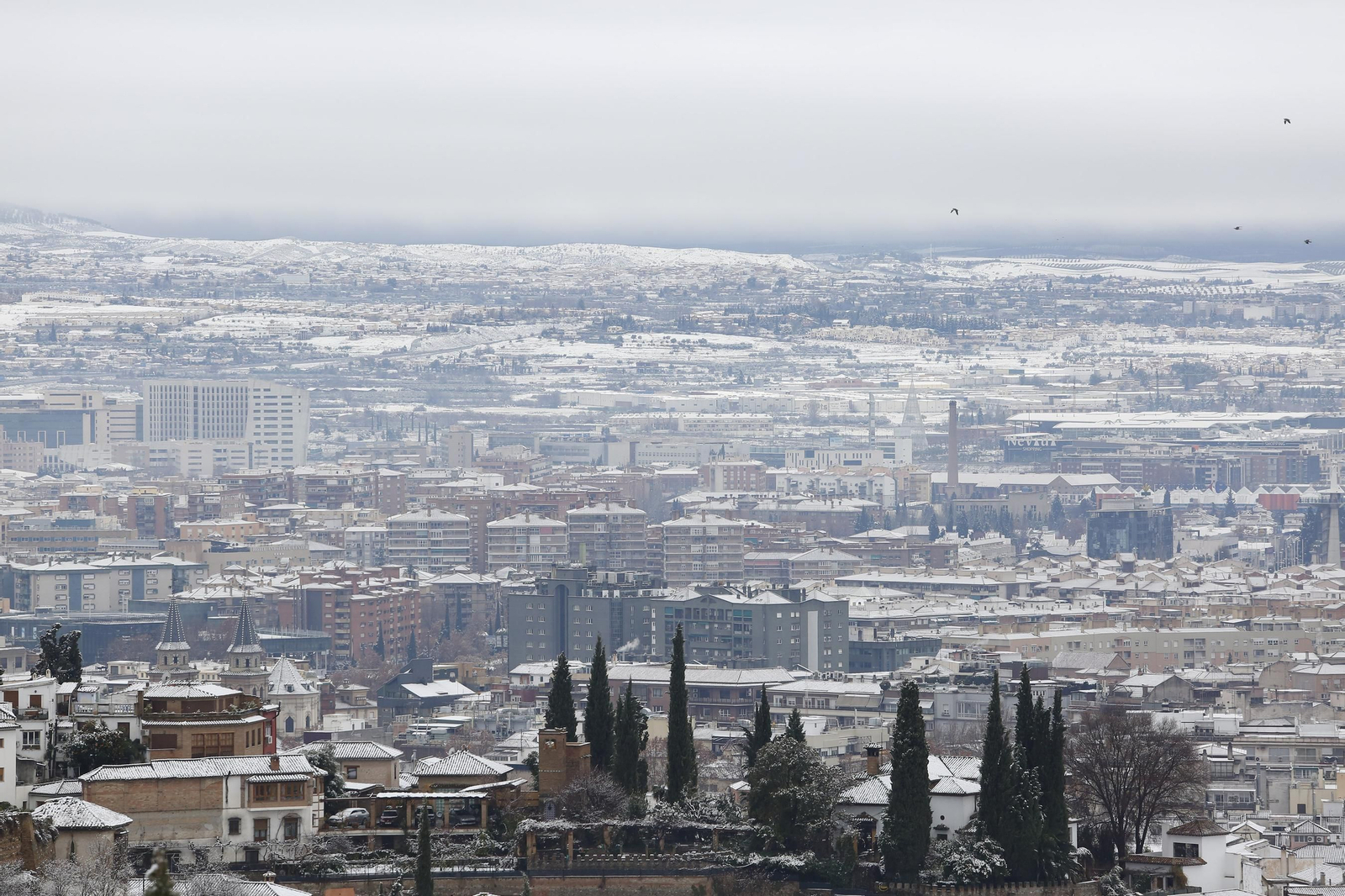 La nevada de Granada, en imágenes