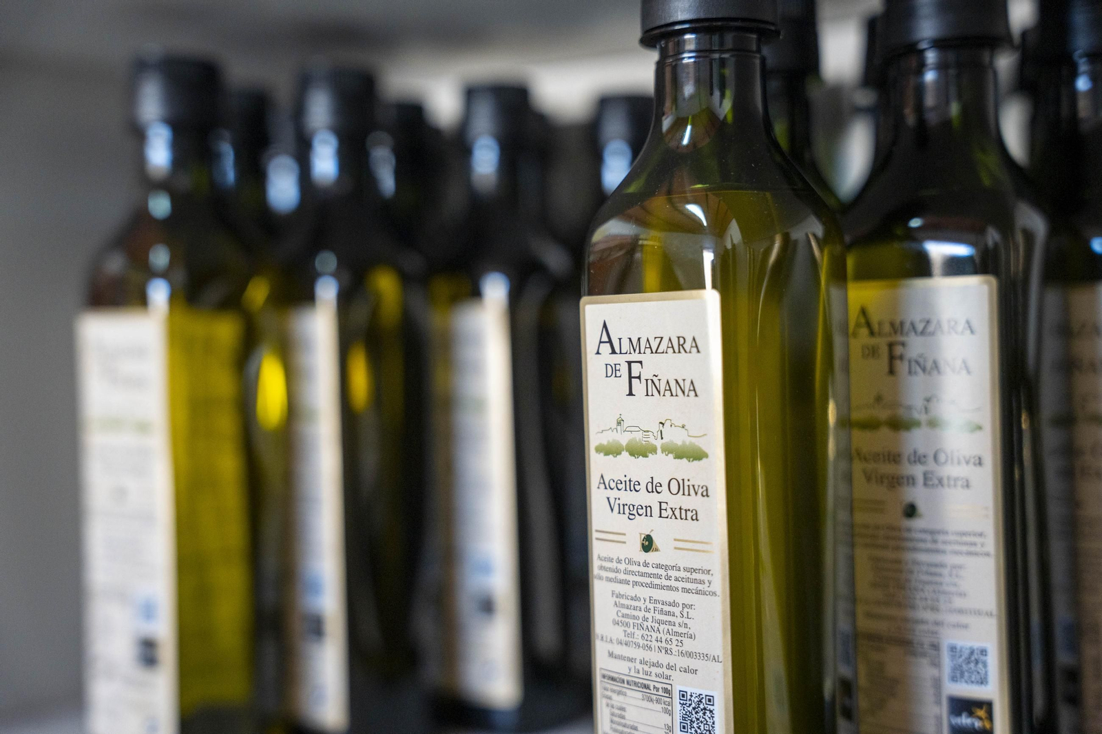 Os enseñamos como se hace el aceite en la almazara de Fiñana, en imágenes