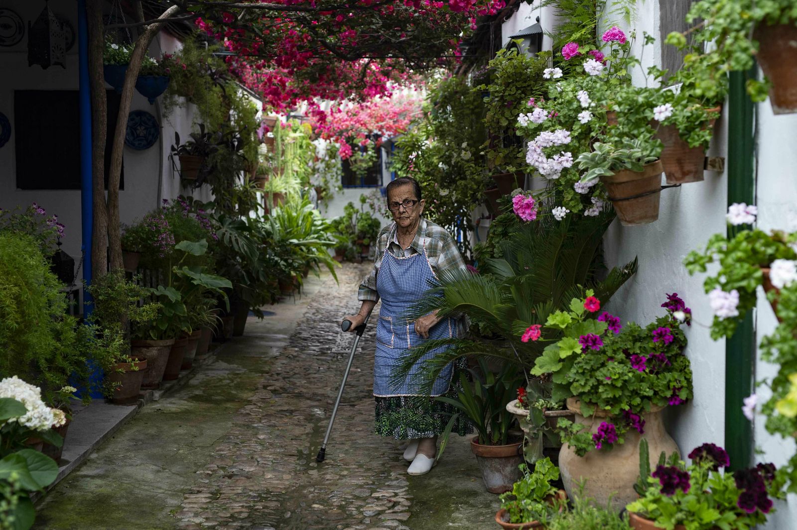 En imágenes: la ruta de los Patios Santa Marina-San Agustín