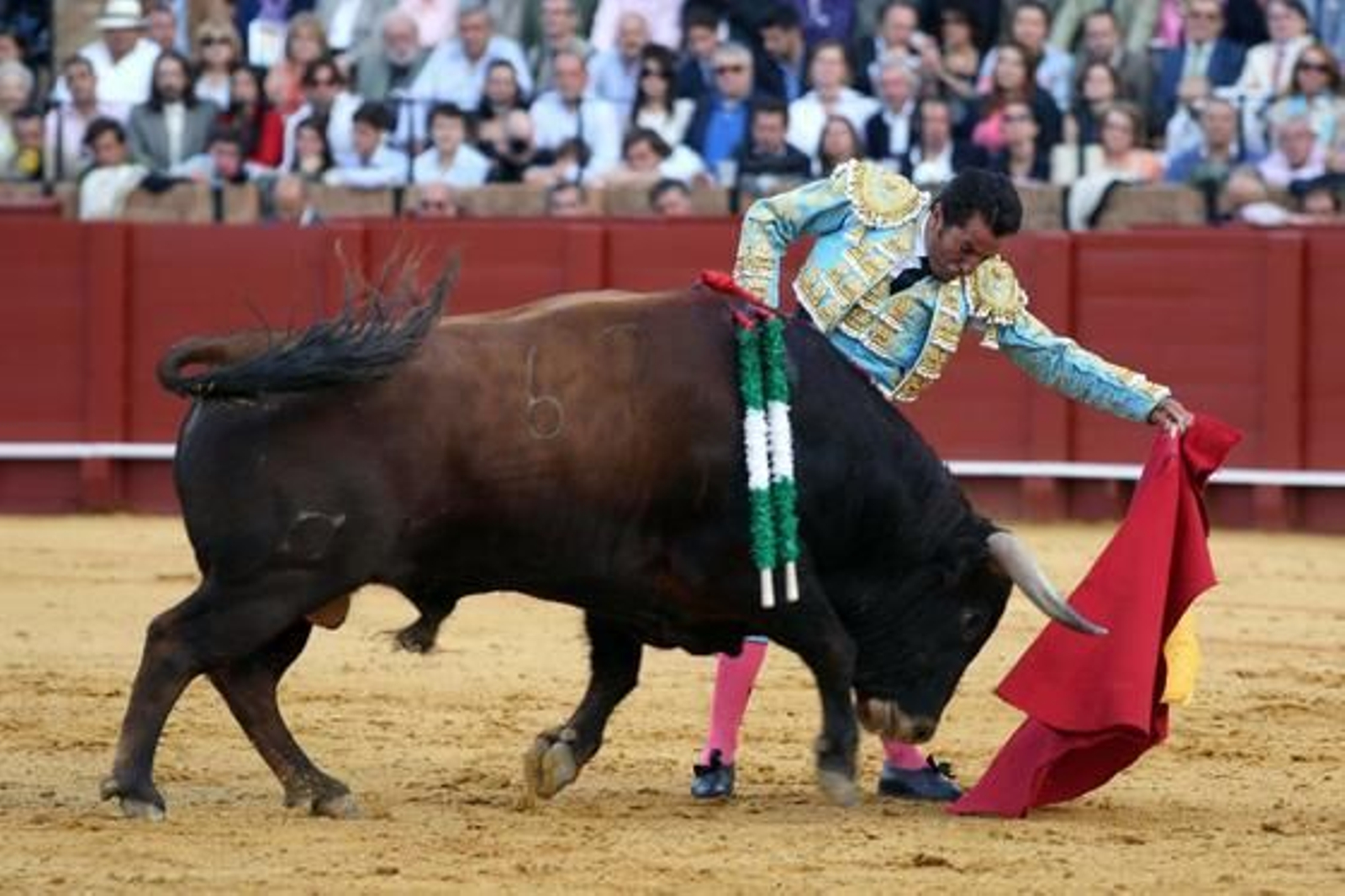 El Fandi./ Juan Carlos Muñoz