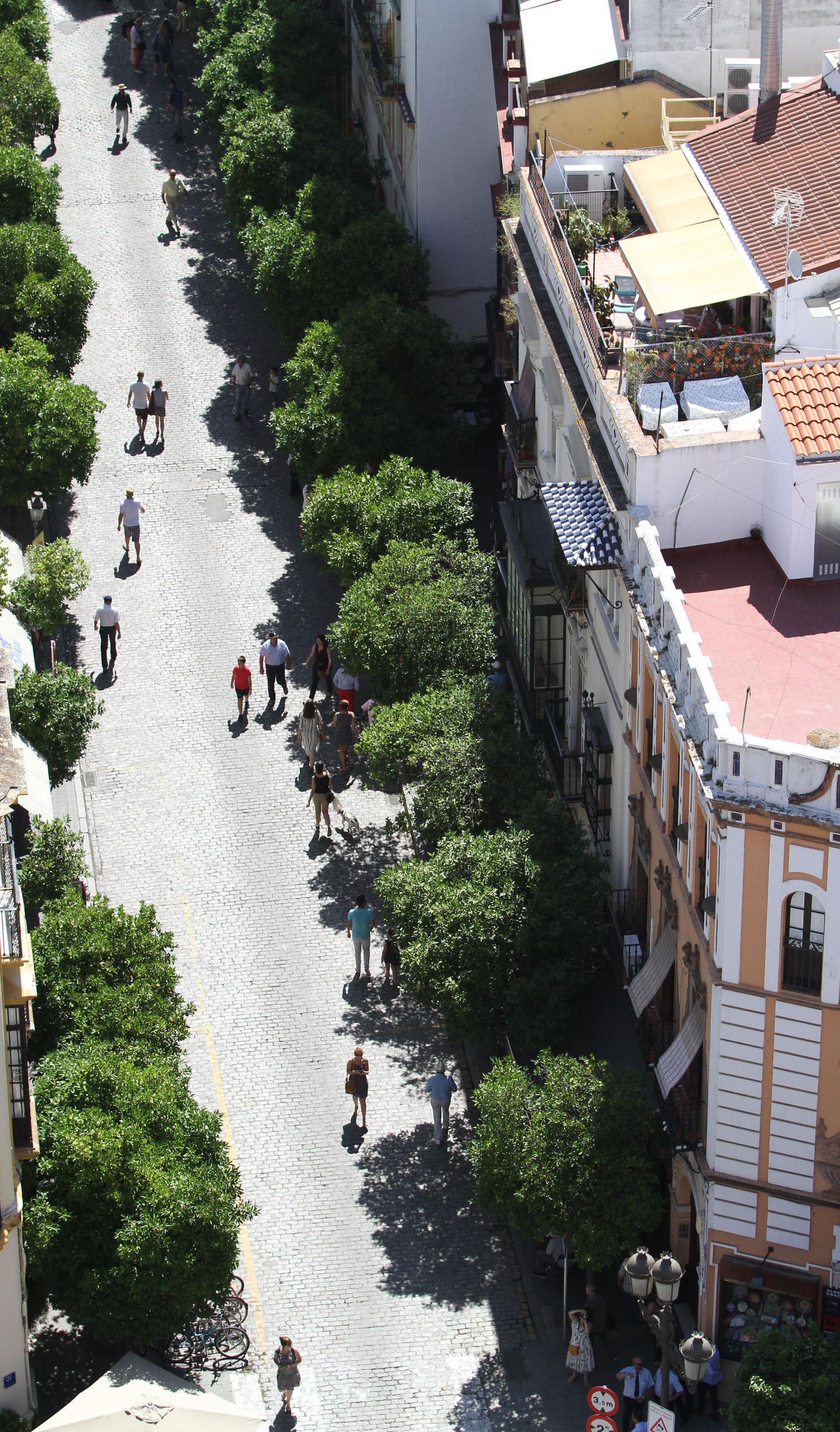 La prueba peatonal de Mateos Gago, en imágenes
