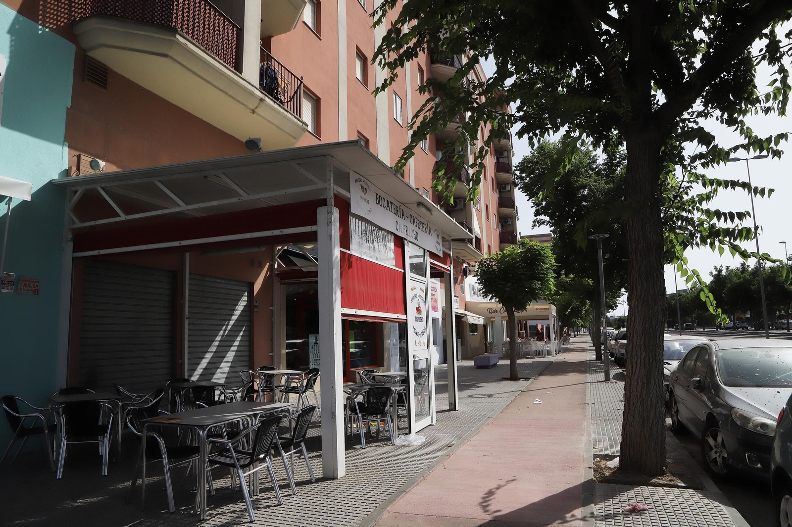 Coronavirus: MotoGP 2019,MotoGP 2020 un mundial atípico en jerez