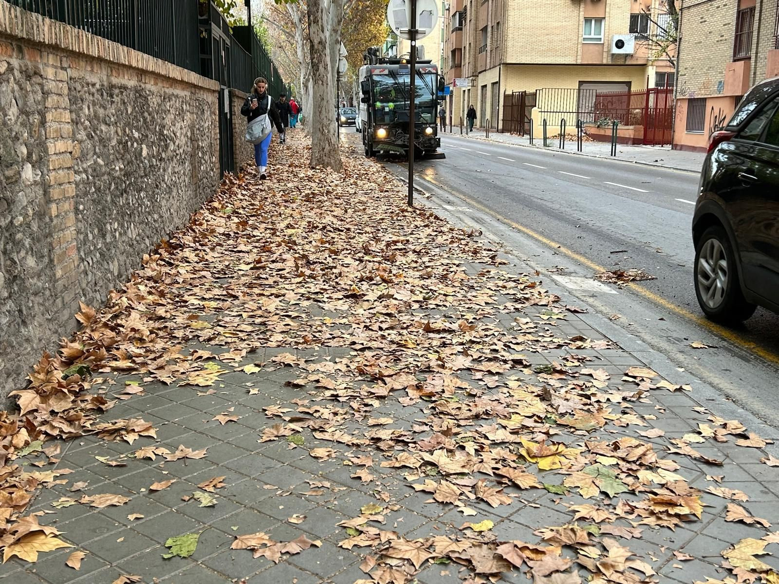 Acera completamente cubierta de hojas este lunes.