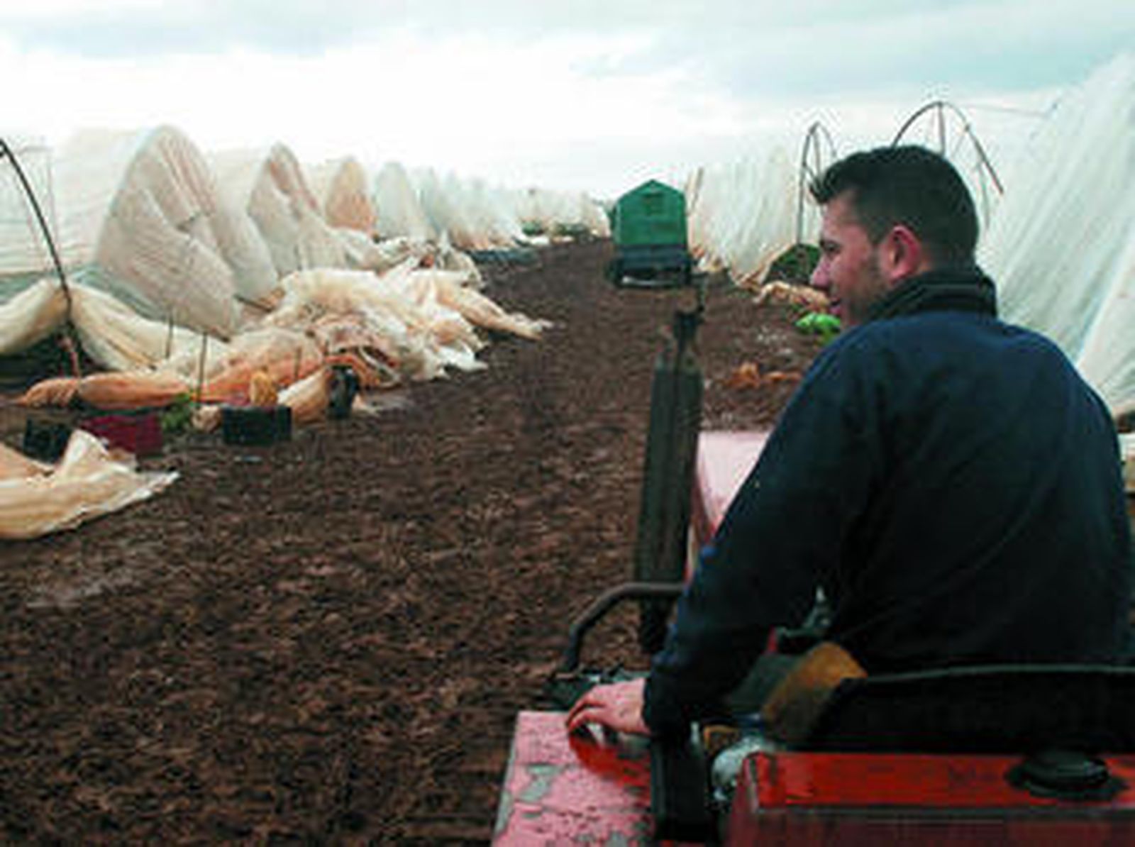 Un trabajador de uno de los invernaderos de Puerto Serrano contempla la desolación tras el temporal.