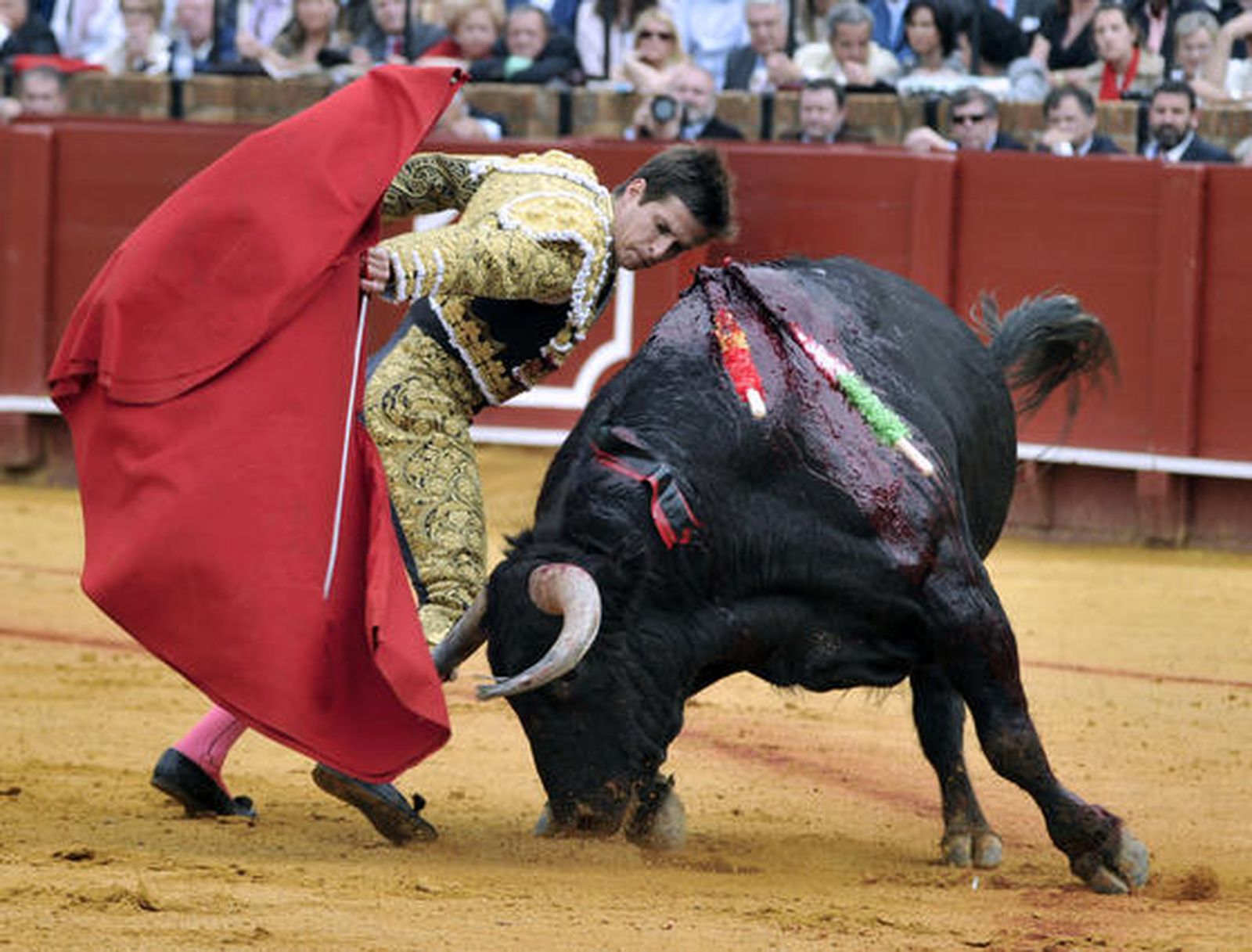 El Juli, frente al primero de la tarde.

Foto: Juan Carlos Muñoz