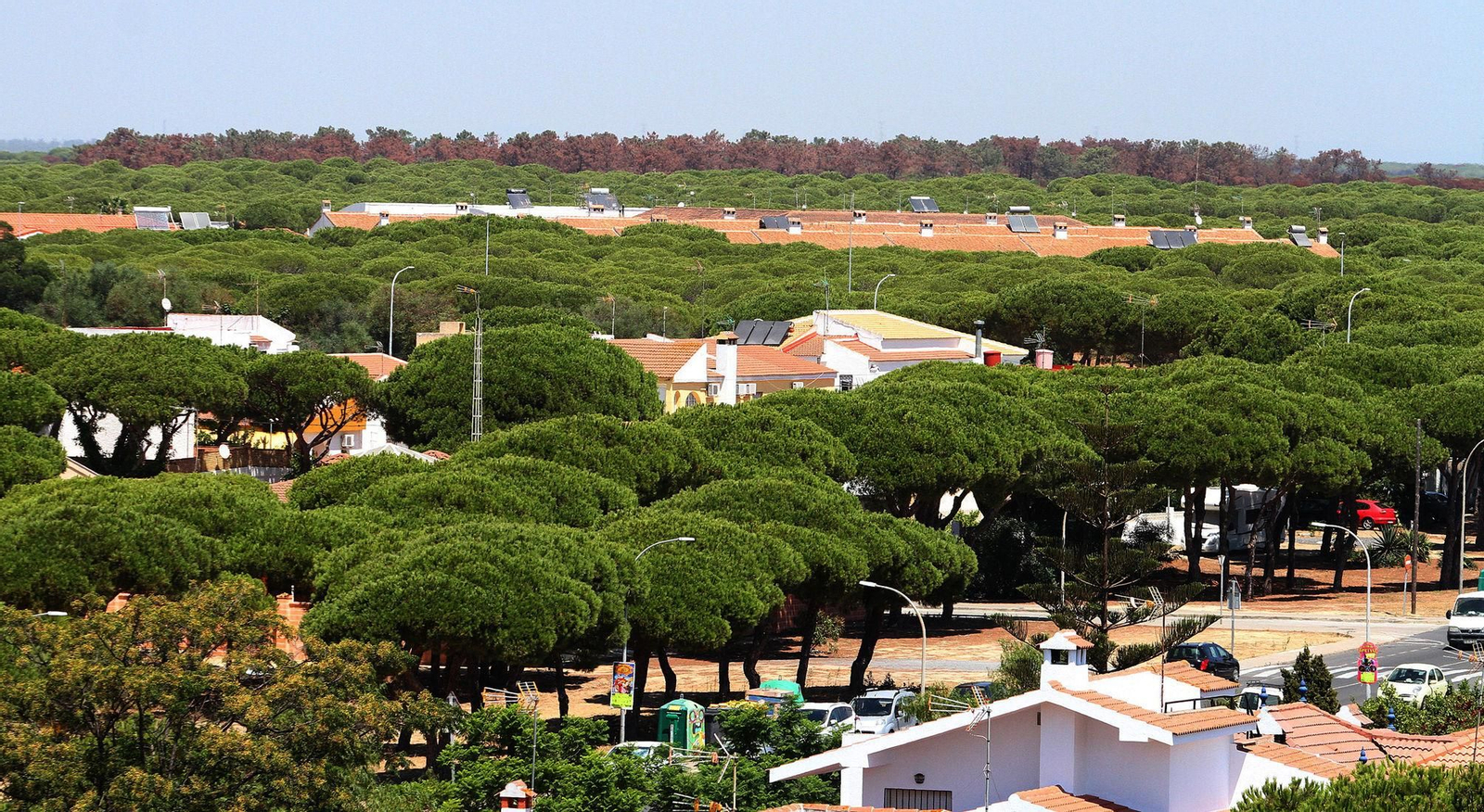 Vista genérica de Mazagón.