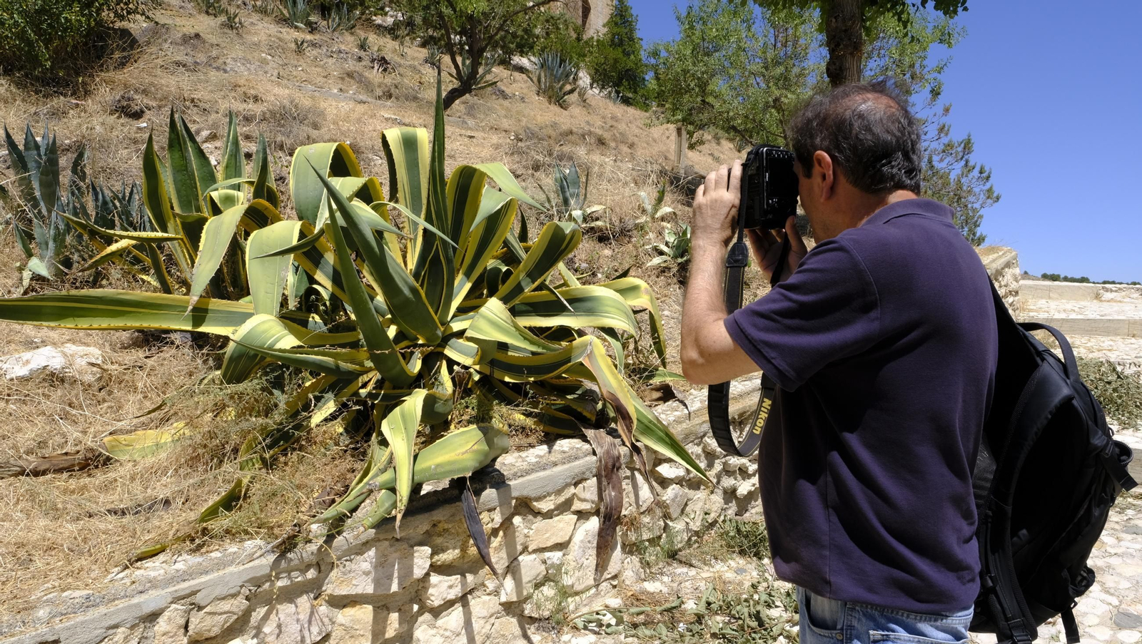 Las obras del Castillo de Vélez Blanco en imágenes