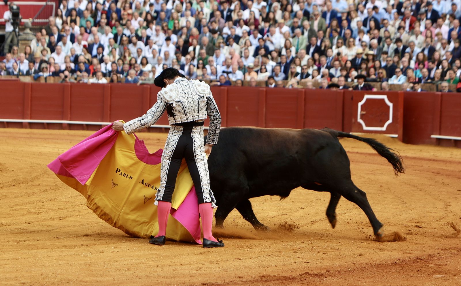 Las mejores imágenes de la corrida de toros de Juan Ortega, Roca Rey y Pablo Aguado