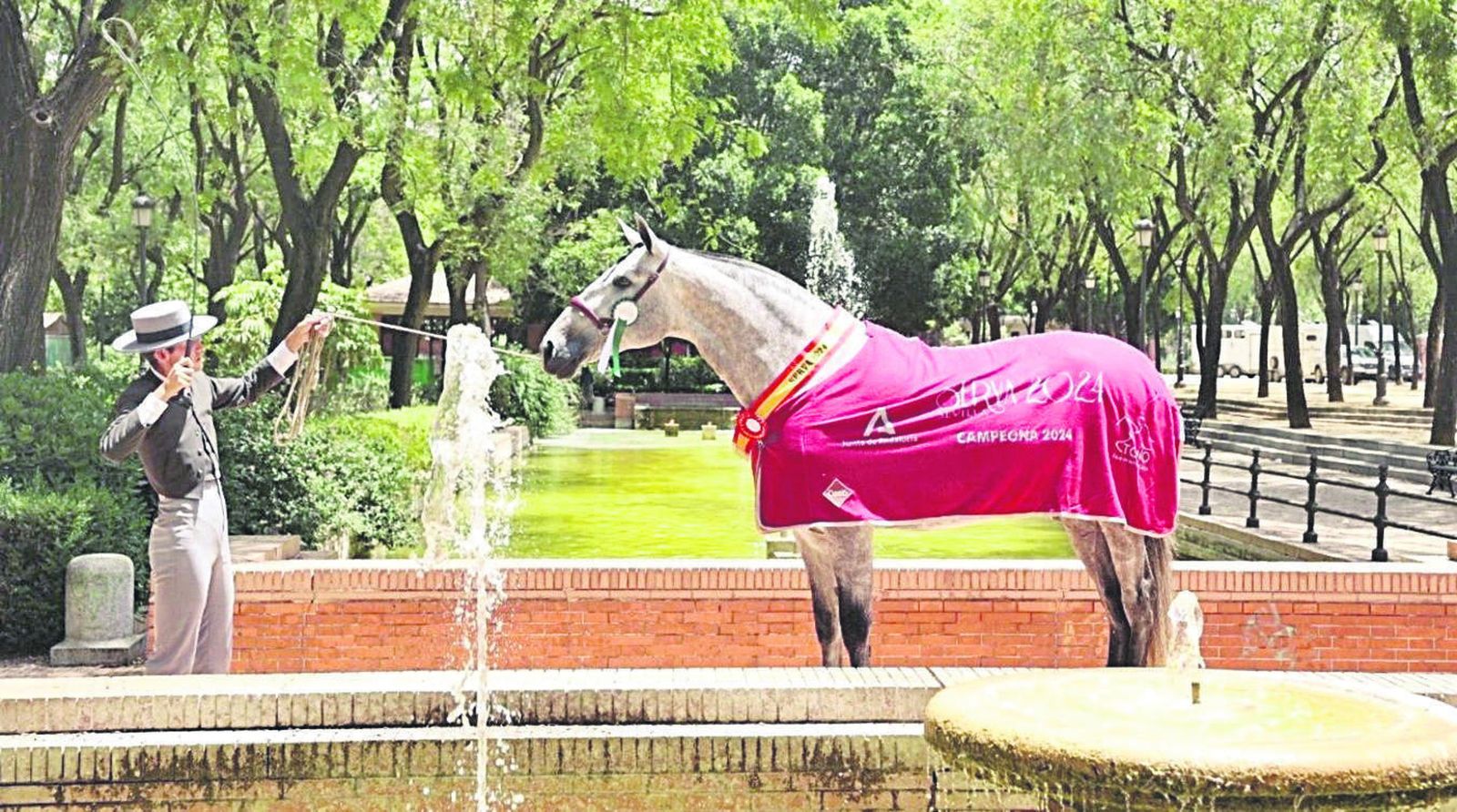 Éxito de participación y asistencia en Serva 2024