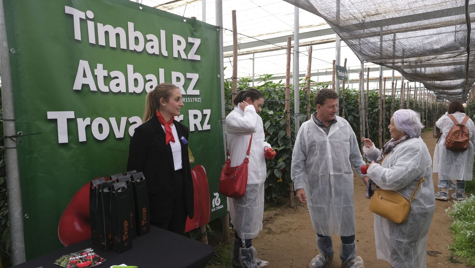 Jornadas de pimiento california desarrolladas esta semana por Rijk Zwaan en el poniente almeriense