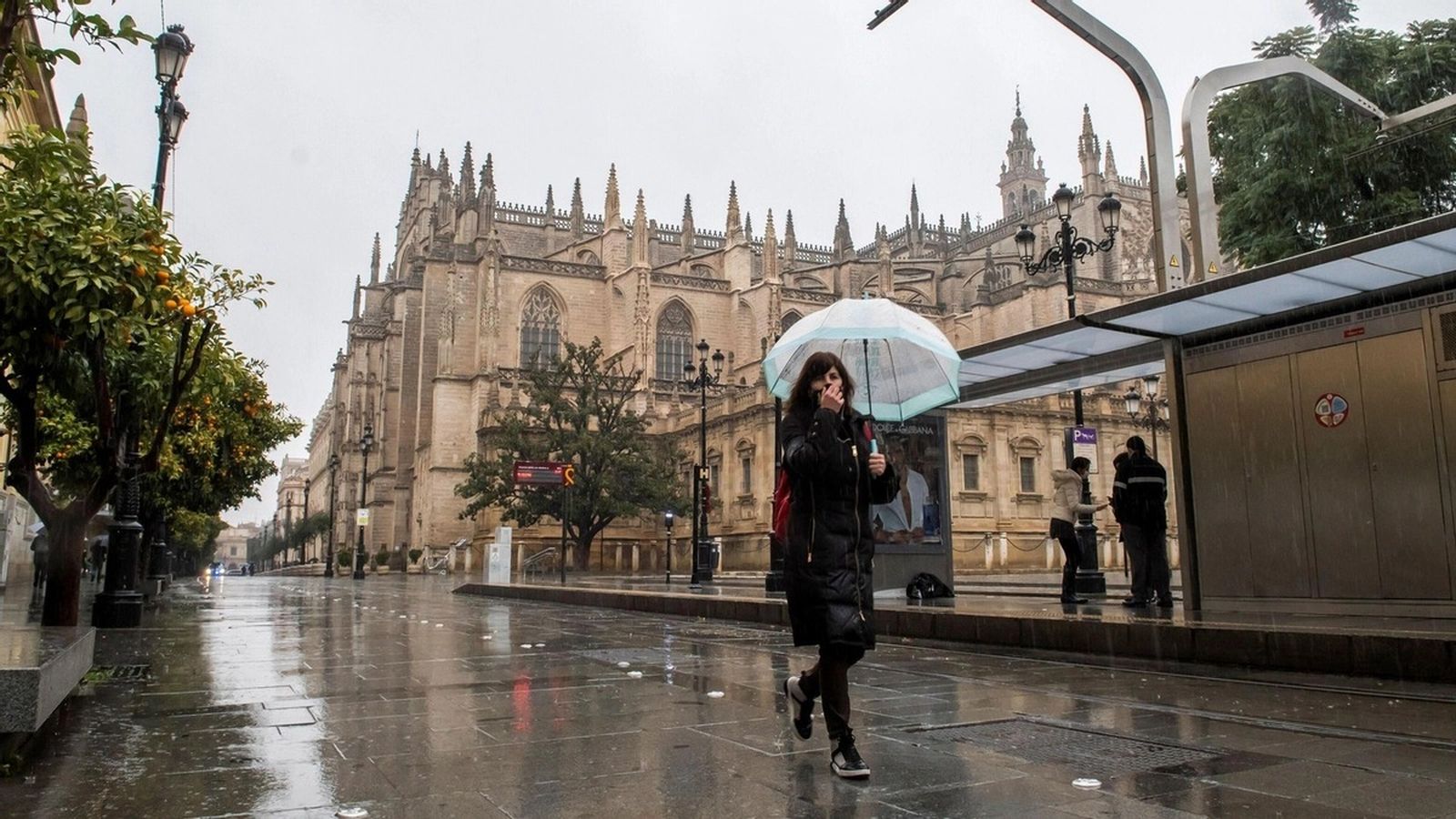 Lluvia Catedral