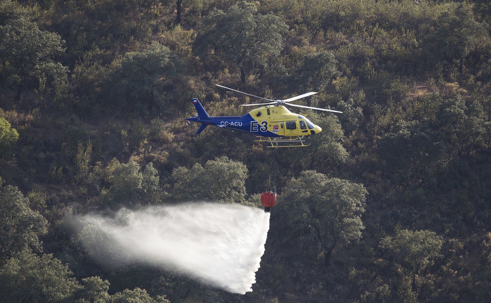 El incendio forestal de El Ronquillo, en imágenes