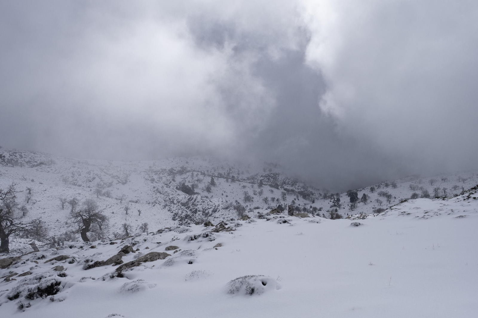 La ruta por la nieve en el Parque Nacional Sierra de las Nievas, en imágenes