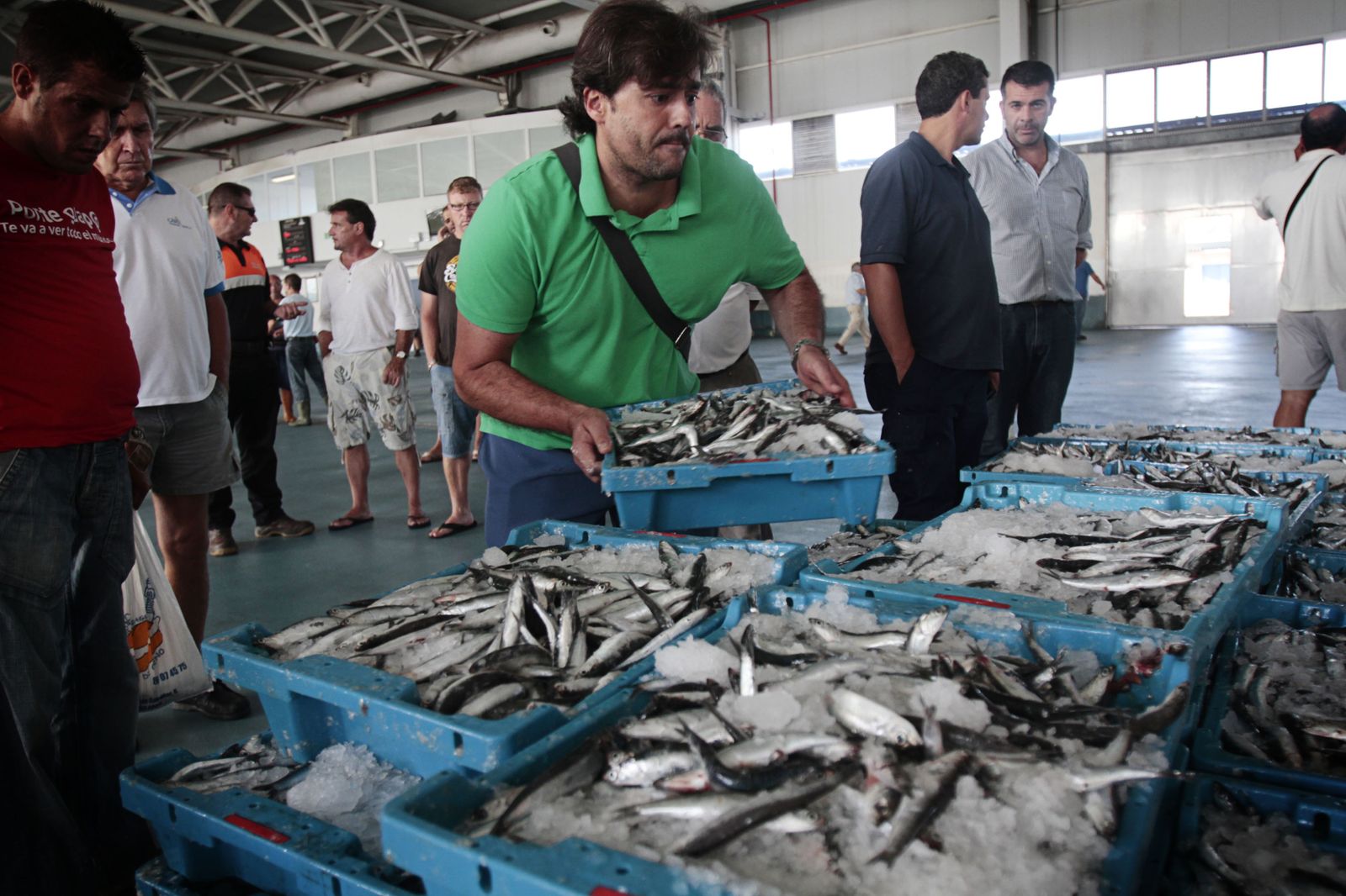 Imagen de archivo de la lonja de pescados del puerto de Cádiz