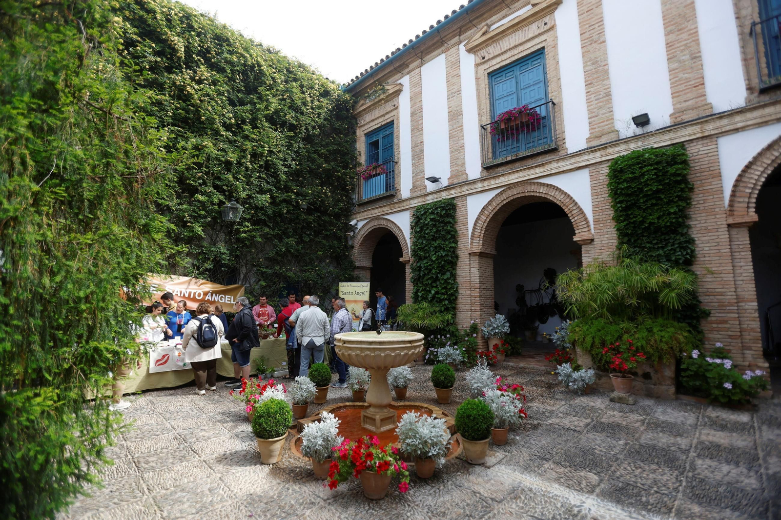 Los Patios del Palacio de Viana, en imágenes