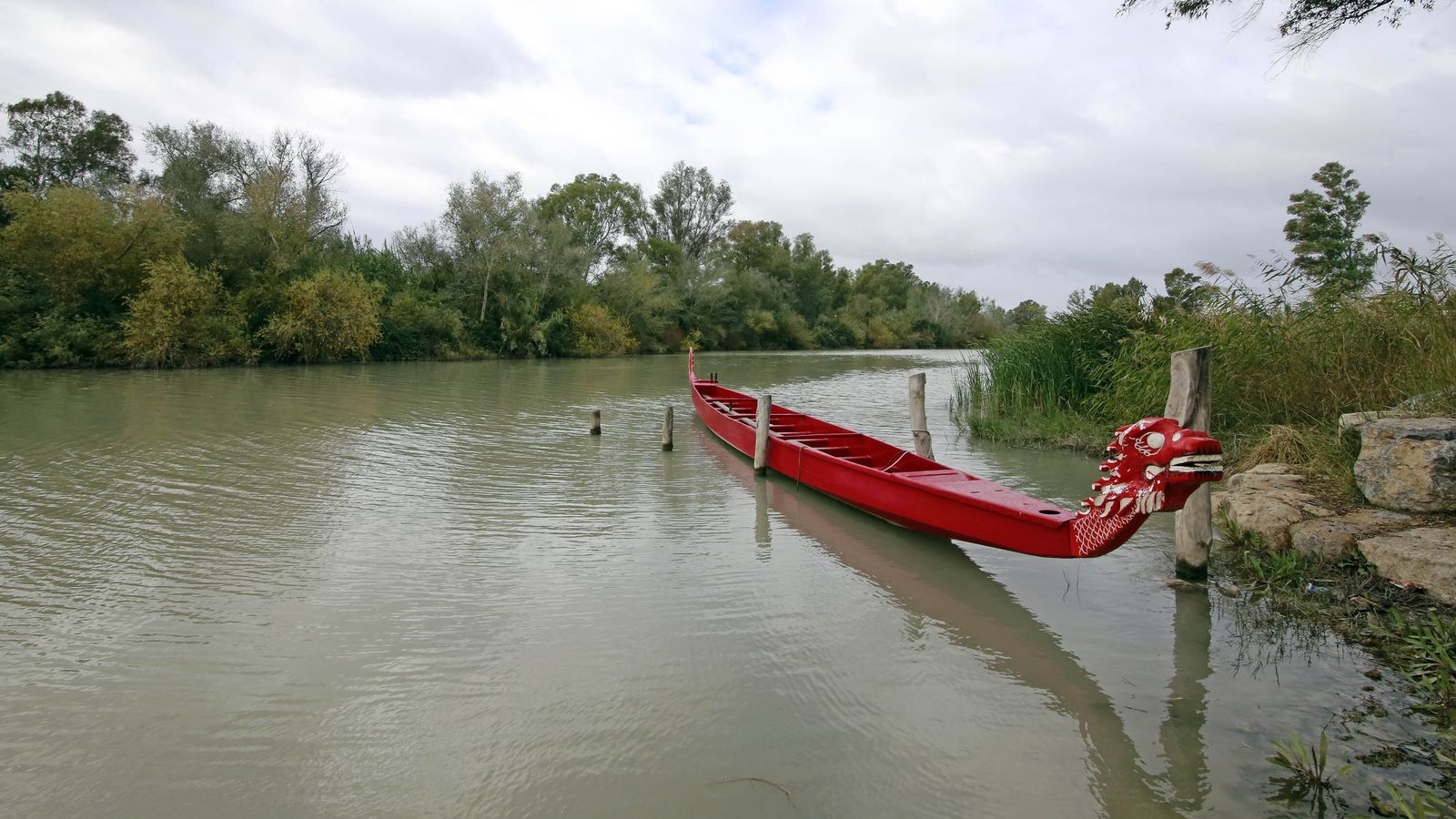 Una imagen del río Guadalete a su paso por La Corta hace unos días.