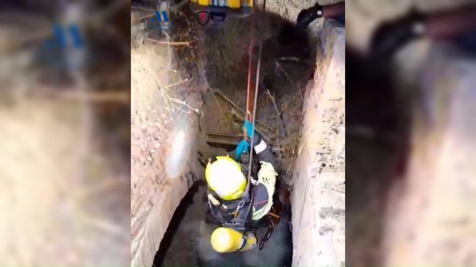 Actuación de los bomberos para sacar de un pozo un cadáver y un perro con vida en Vélez-Málaga