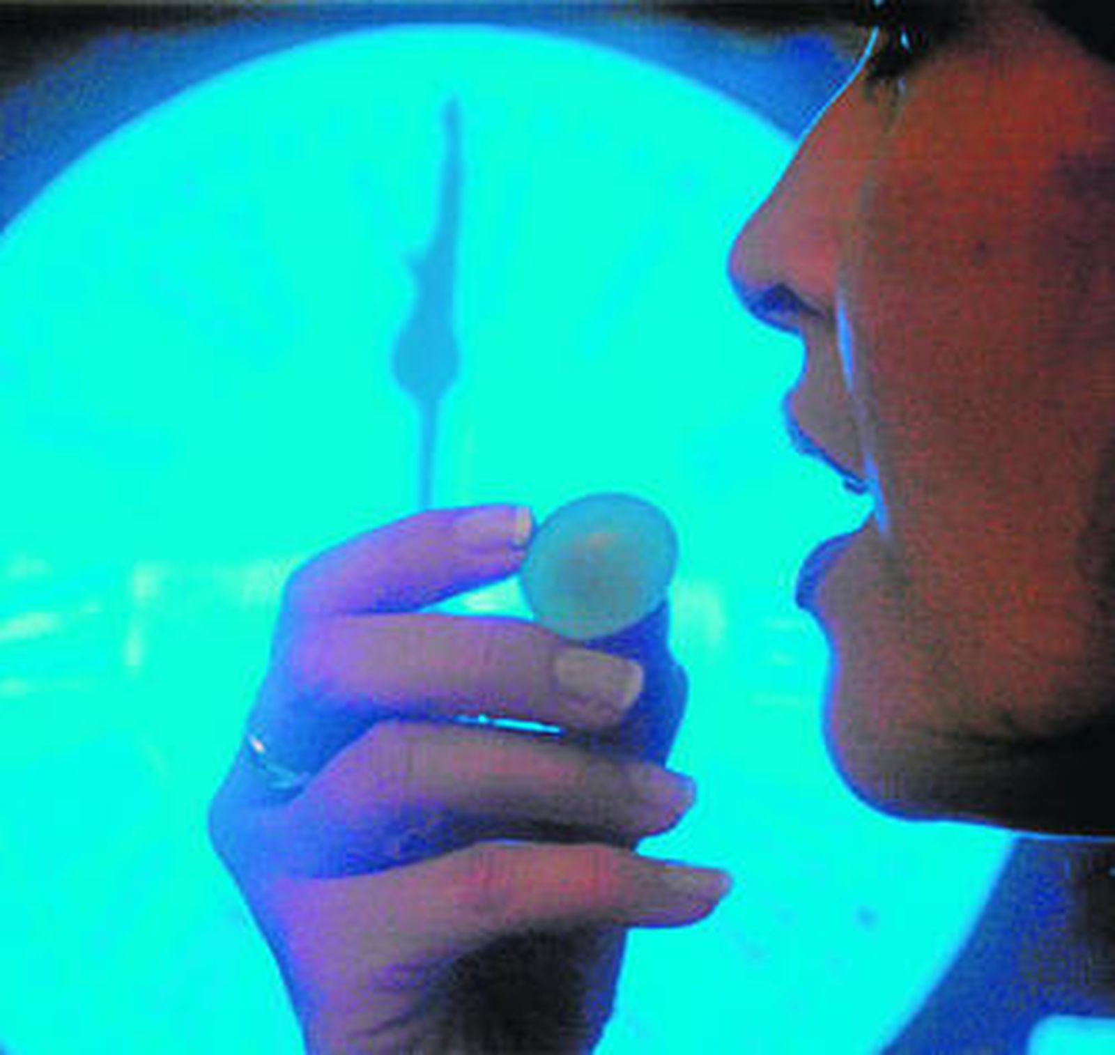 Salir de noche: 14 maneras de disfrutar la última noche de 2013