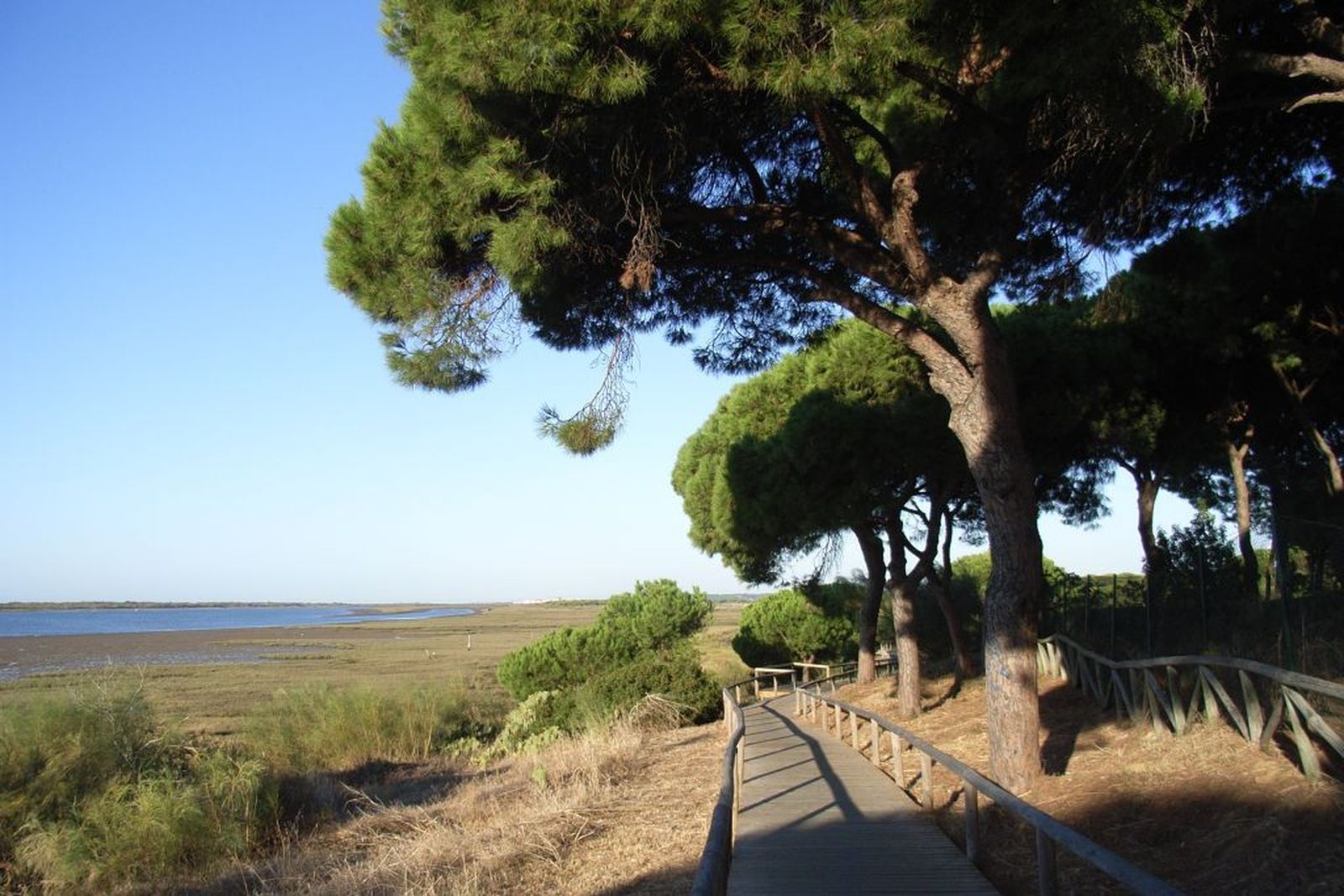 Descubre el sendero de la Laguna del río Piedras