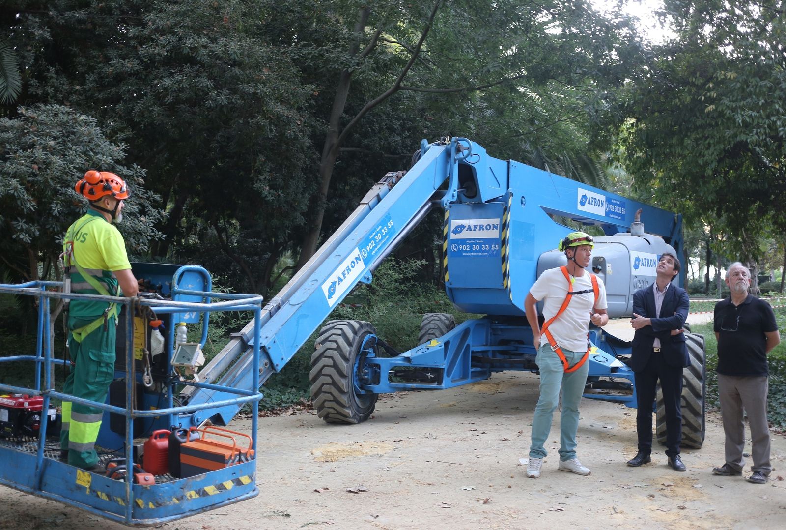 Una de las grúas que se están empleando para revisar los árboles en cuyos huecos se refugia la especie.
