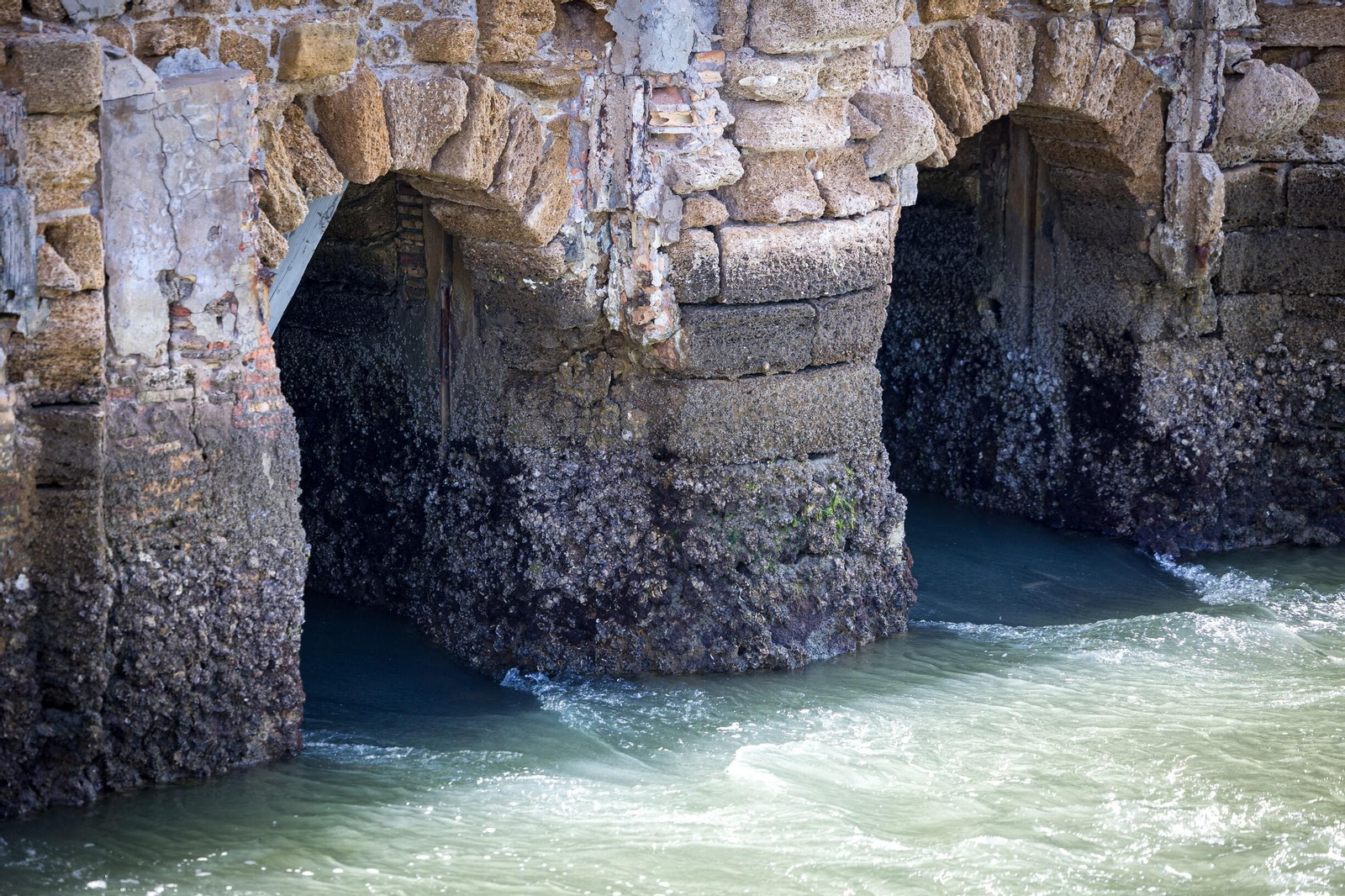 Imágenes del pésimo estado del molino de mareas de Cádiz