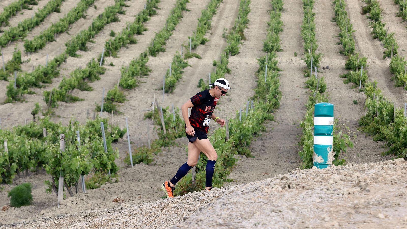 Búscate en la Sherry Maratón 2025 de Jerez (I)