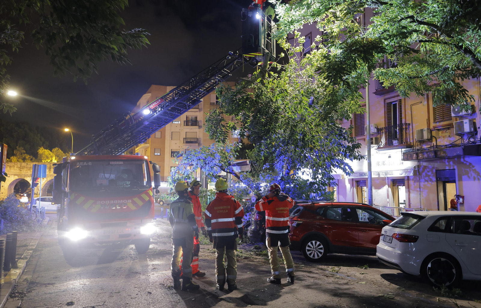 Los efectos de la borrasca 'Bernard' en Sevilla, todas las fotos