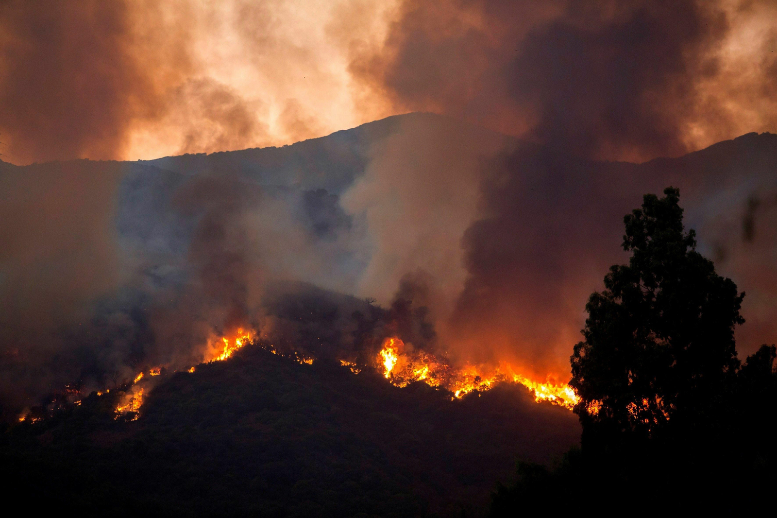 El paraje Peñas Blancas de Estepona en llamas por el incendio El paraje Peñas Blancas de Estepona en llamas por el incendio