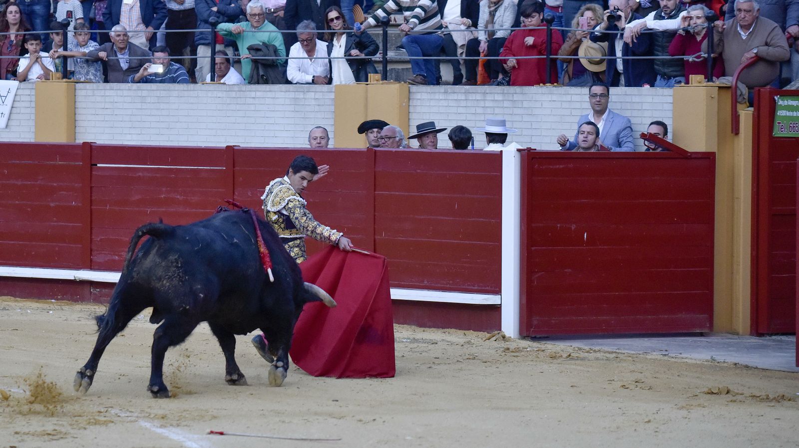 Las imágenes de la corrida en Morón con la reaparición de Jesulín de Ubrique