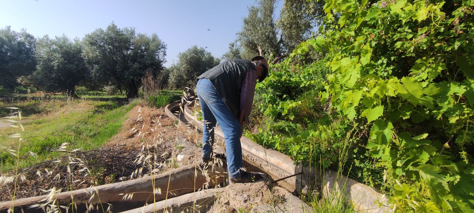 Un regante abre una acequia en Caniles